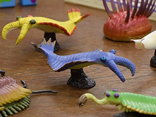 カンブリアモンスター ミニモデル 6セット フェバリット バージェスシリーズ カンブリアモンスター ミニモデル 6セット フェバリット